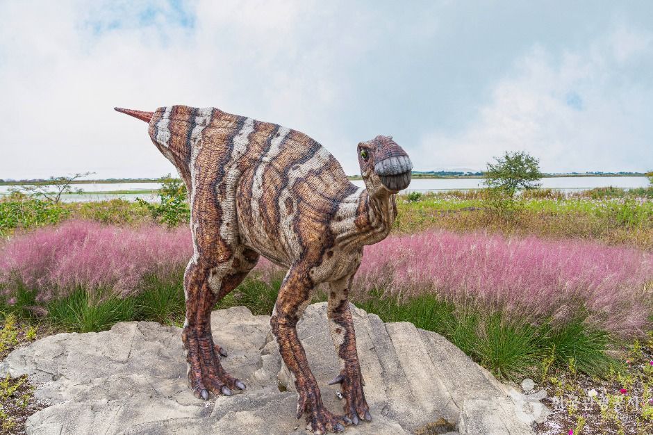 해남공룡박물관