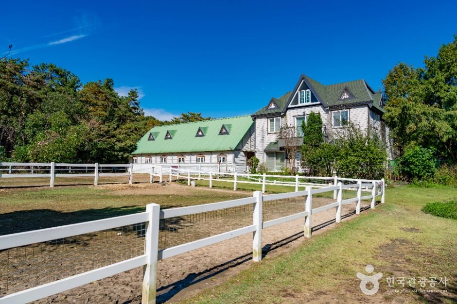 화성_드림아트스페이스 (4)