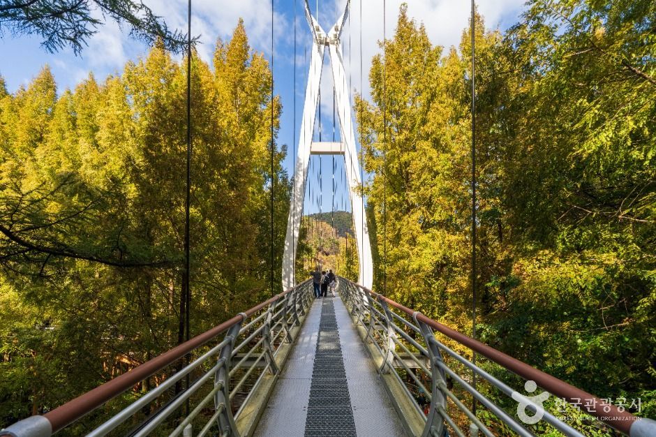 장태산자연휴양림 (4)