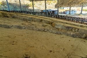 화순_서유리 공룡화석지(무등산권 국가지질공원) (7)