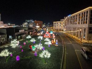 The Lights of Love Washing Over the Winter Night Sea at Daecheon: Trip to the Daecheon Winter Sea Love Festival 2025 Daecheon Winter Sea Love Festival 2