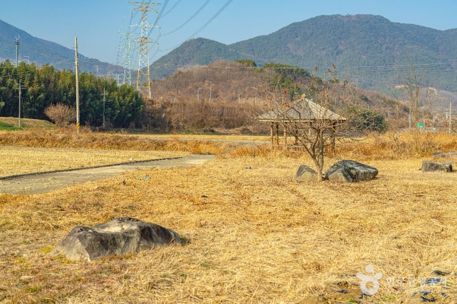 산청특리지석묘군