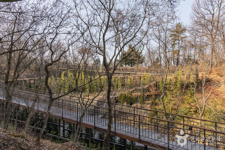 대모산도시자연공원