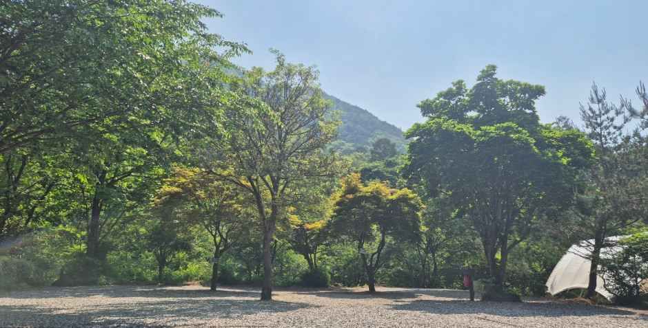 thumbnail-덕동골캠핑장-3