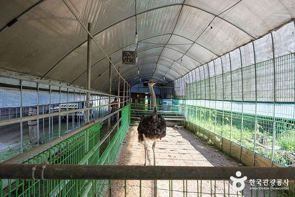 thumbnail-찬우물 체험동물농장-6