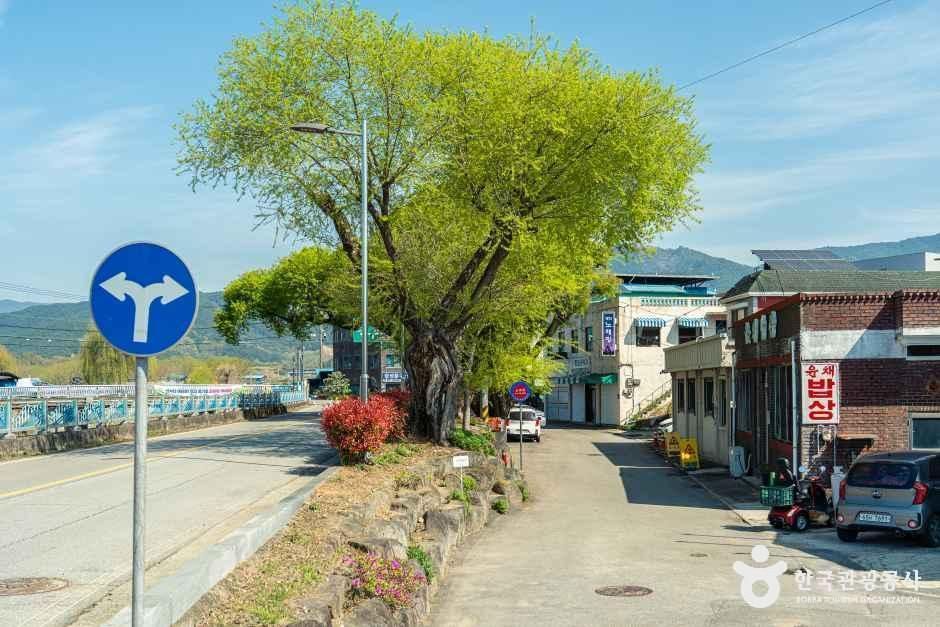 thumbnail-연파마을-5