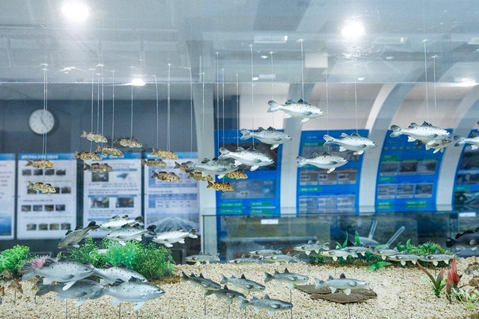 thumbnail-보령해저터널홍보관-22