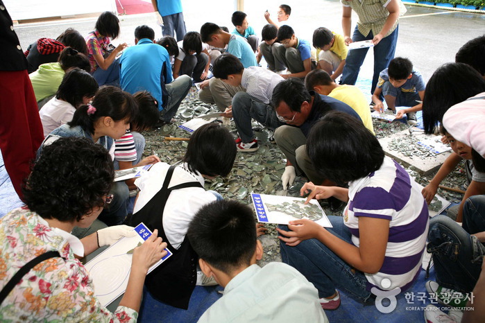 Gangjin Celadon Festival (강진청자축제)