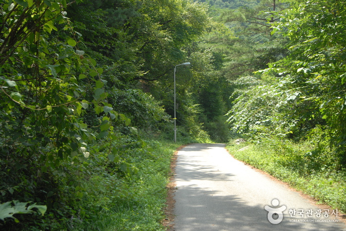 Jucheongang Recreational Forest (주천강자연휴양림)