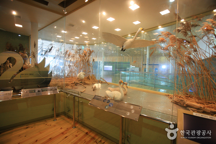 Nakdonggang Eco Center (낙동강하구에코센터)