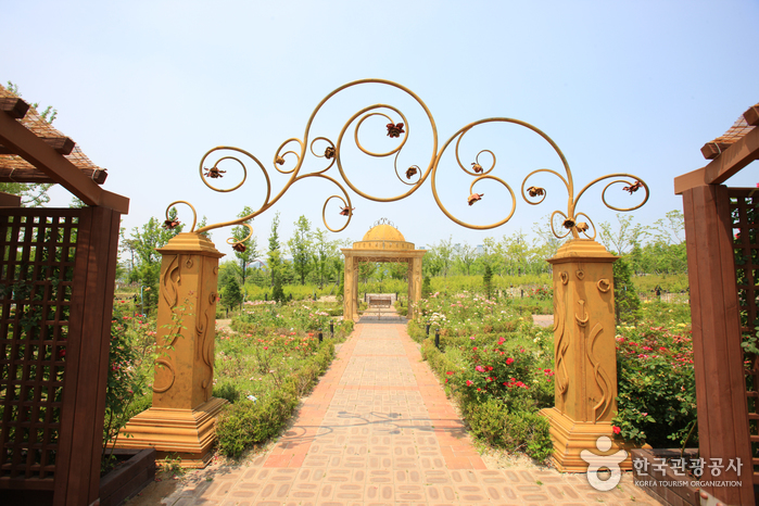 Hanbat Arboretum (한밭수목원)