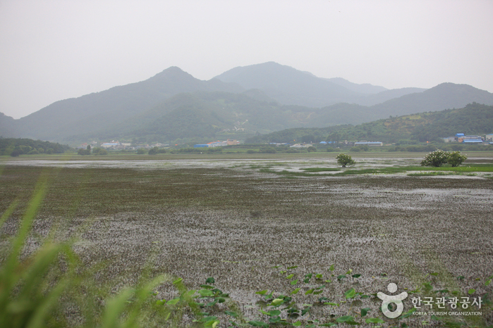 Junam Reservoir (주남저수지)