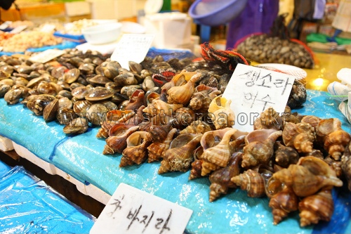 Noryangjin Fisheries Wholesale Market (노량진수산시장)