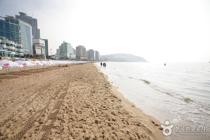 Gwangalli Beach (광안리해수욕장)