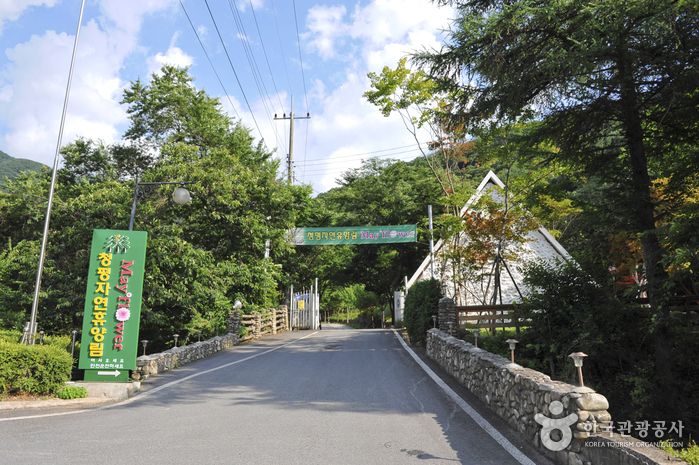 thumbnail-Cheongpyeong Recreational Forest (청평자연휴양림)-23