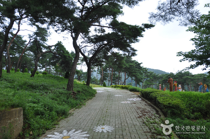 Okjeongho Lake Gujeolcho Theme Park (옥정호 구절초테마공원)