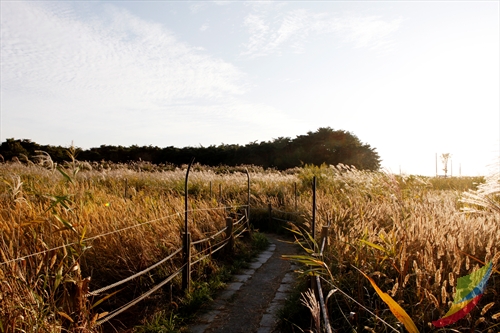 Julpo Ecological Park (줄포자연생태공원)
