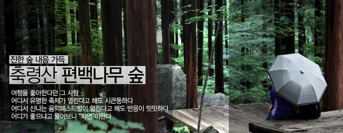 나무숲 이미지