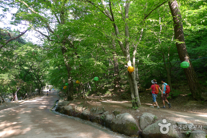 양평 친환경농업박물관4