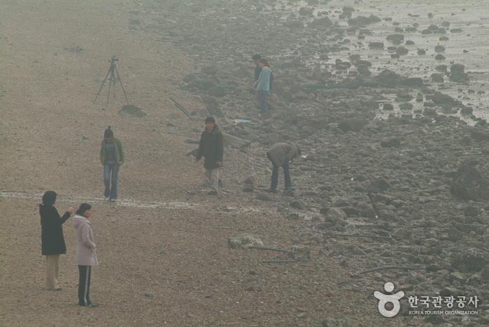 Jebudo Island (제부도)