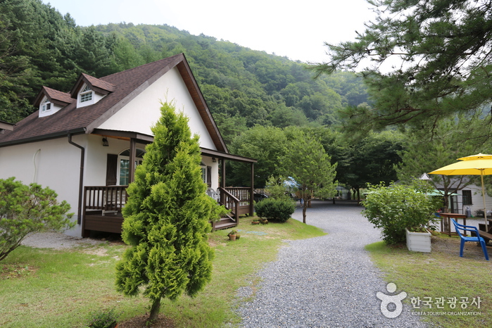 올리브그린펜션0