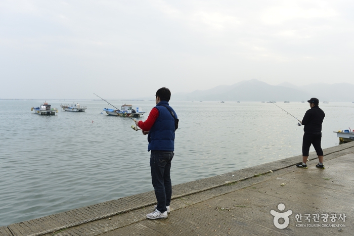 당진 도비도항1