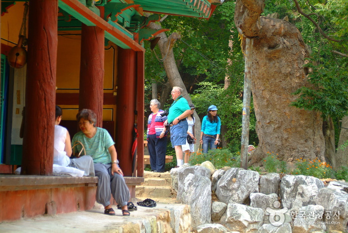Yonggungsa Temple (Incheon) (용궁사 - 인천)