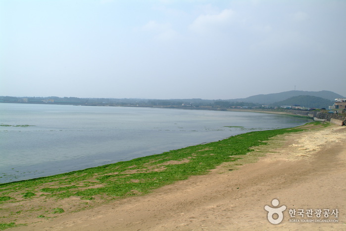 Sinyang Beach (Seopjikoji) (신양 섭지코지해변)