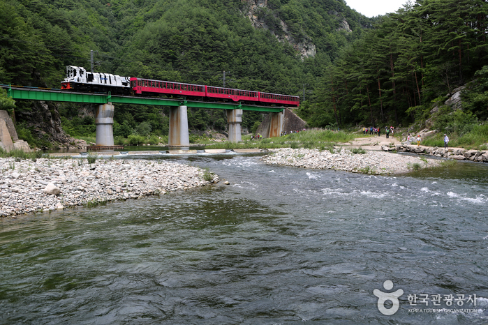 白頭大幹峡谷列車「V-train」（백두대간협곡열차（V-트레인））5