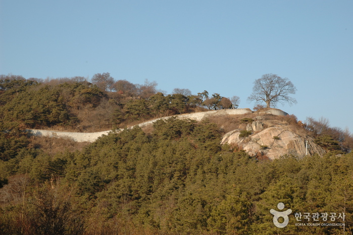 Buyeo Garimseong Fortress (부여 가림성)