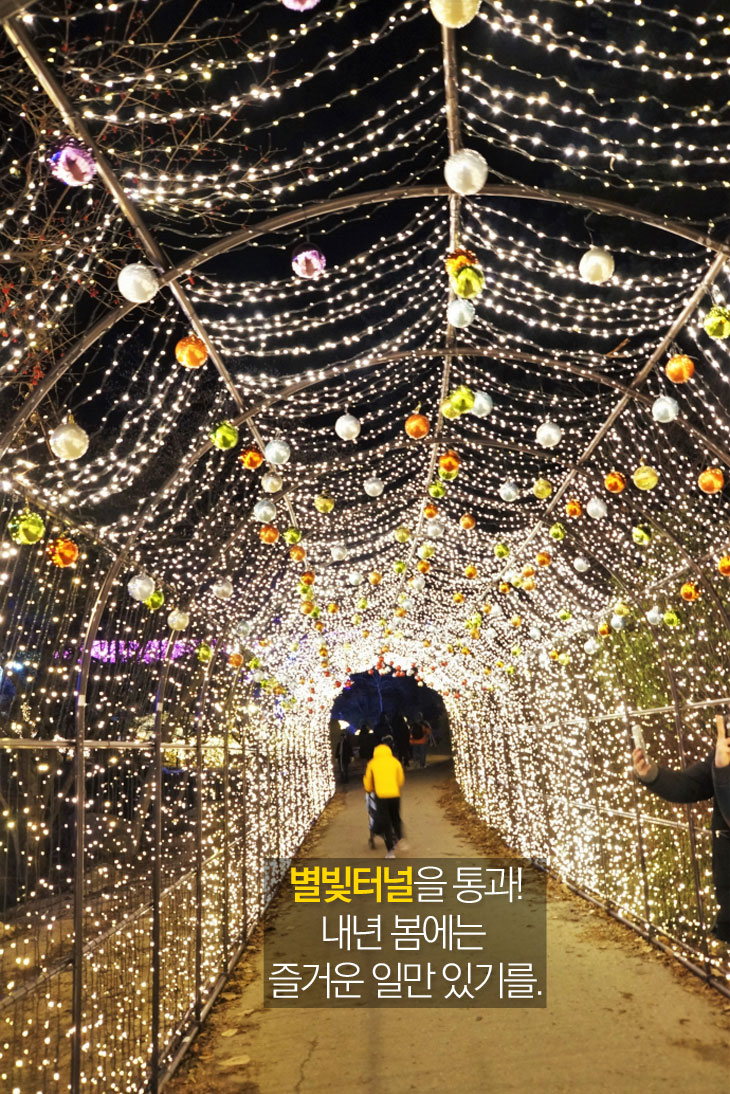 별빛터널을 통과! 내년 봄에는 즐거운 일만 있기를.