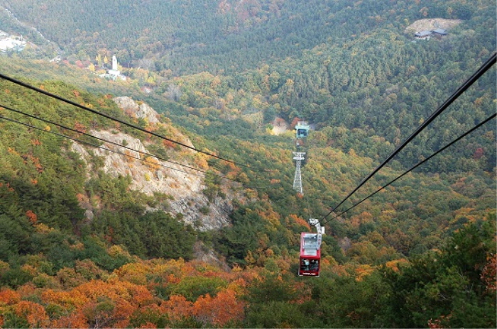 앞산 케이블카(앞산 전망대)