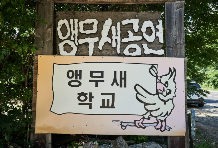 韩国鹦鹉学校(한국앵무새학교)