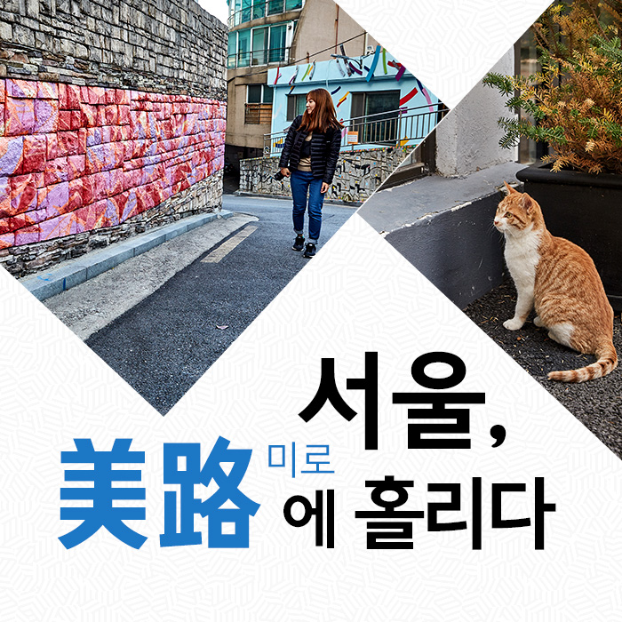 미로 이미지
