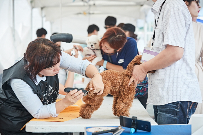 부산 펫팸 페스티벌 20190