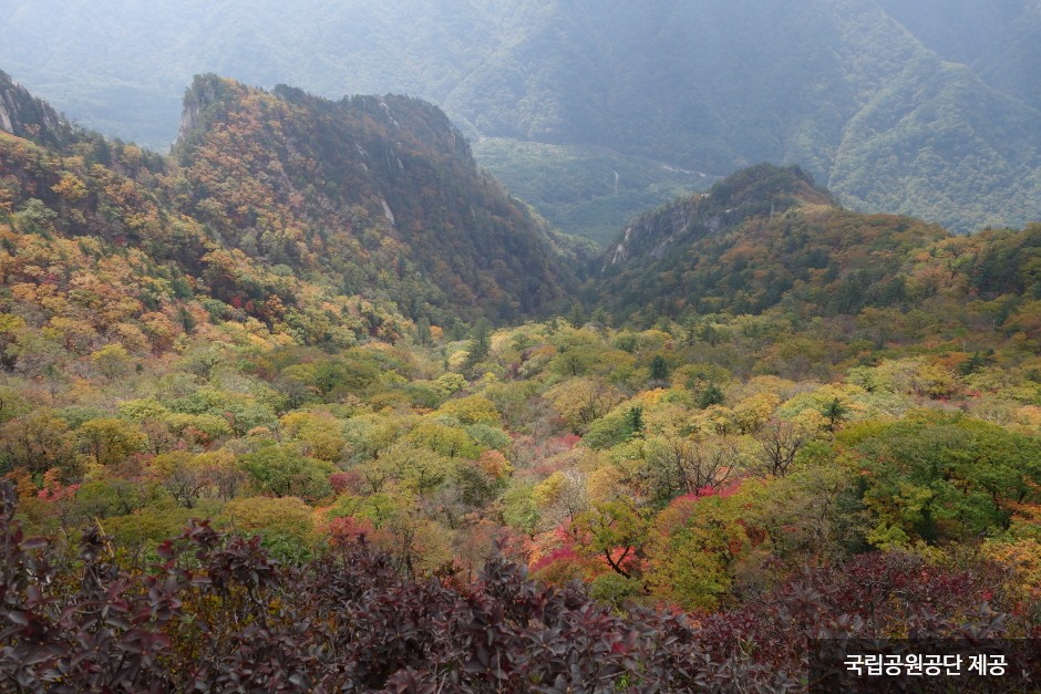 Parc national du Mt. Seoraksan (Naeseora...