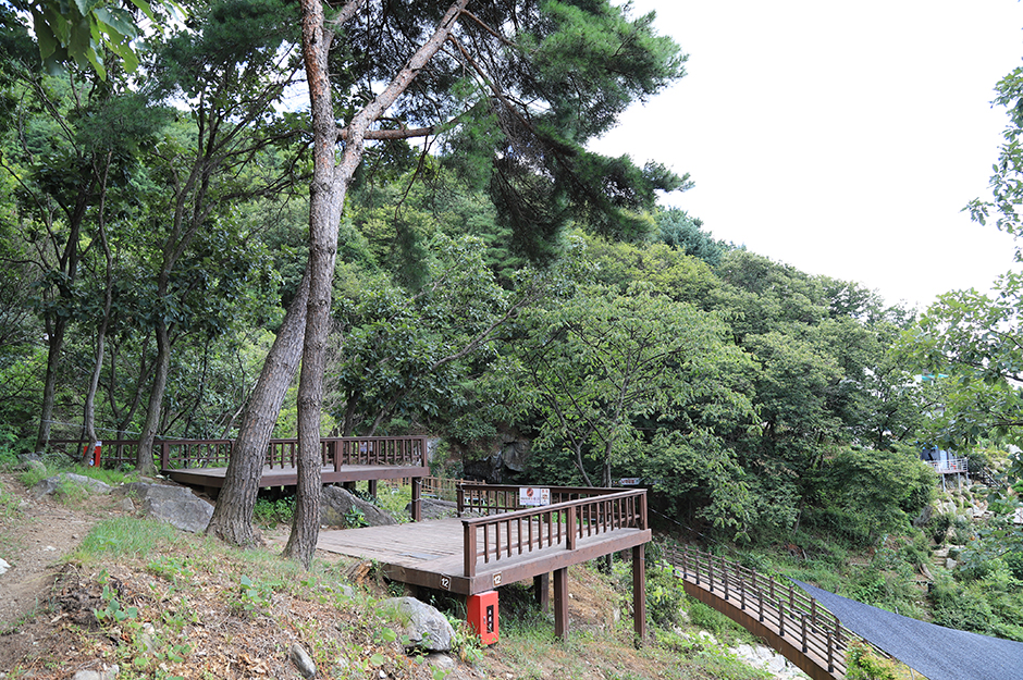 용문산 자연휴양림0