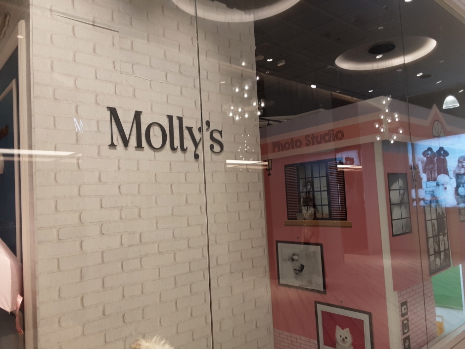 [事後免税店] Molly’s（モリーズ）・シンセゲ（新世界）センタム（몰리스 신세계센텀）