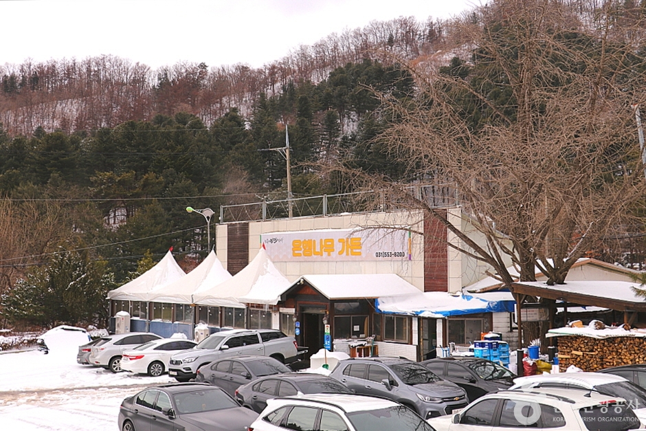 은행나무가든