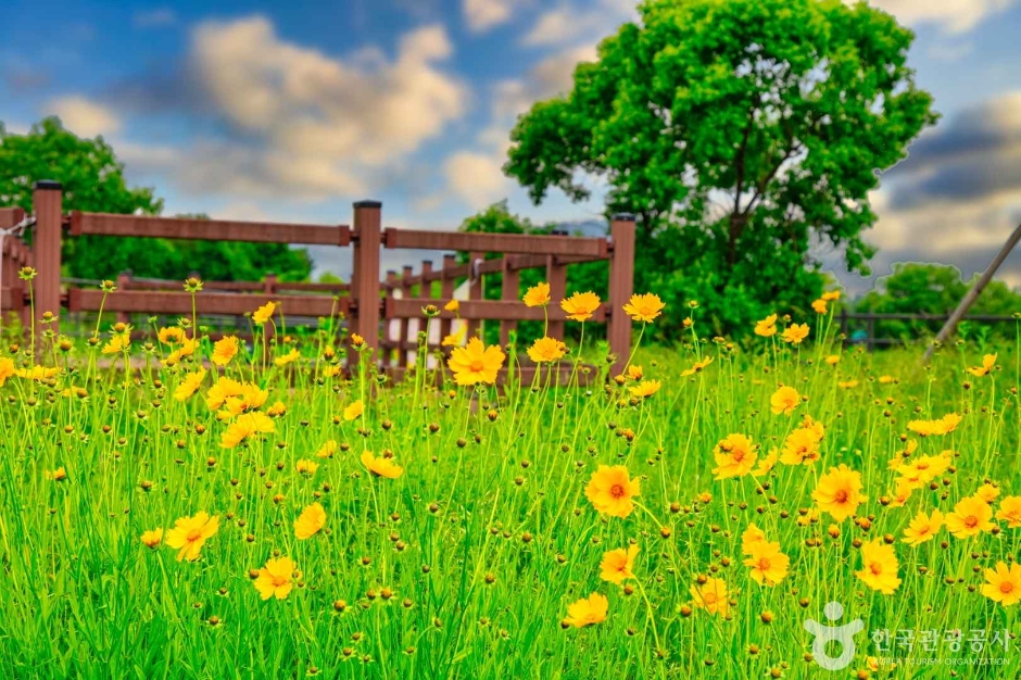 춘천문학공원 (2)