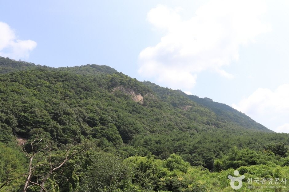 포암산(충주)