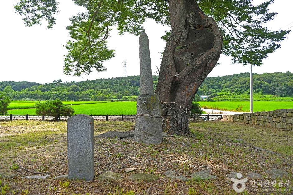 백암리남근석