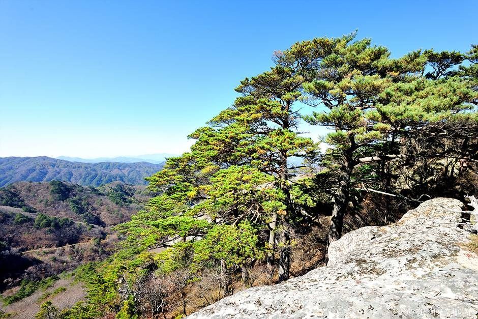 괘병산(정선)