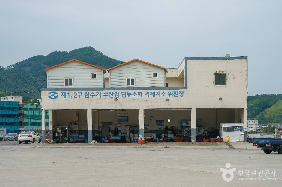 장목항