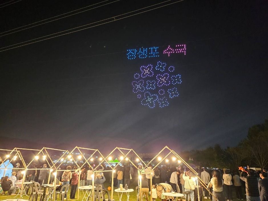 2025 태화강 빛축제 2