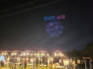 2025 태화강 빛축제 2