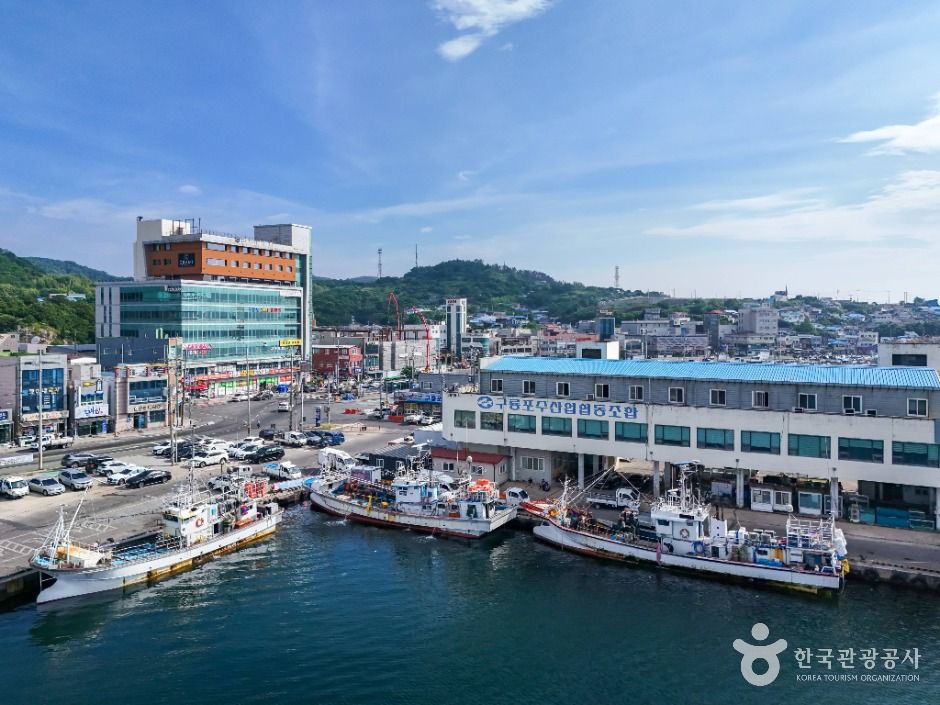 포항_구룡포항 (5)