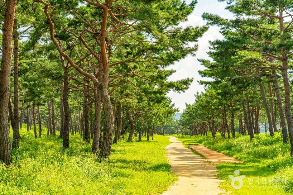 공주 고마나루
