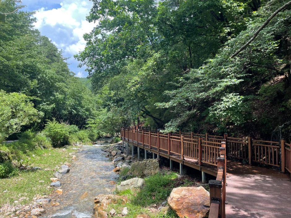 thumbnail-수리산도립공원-18