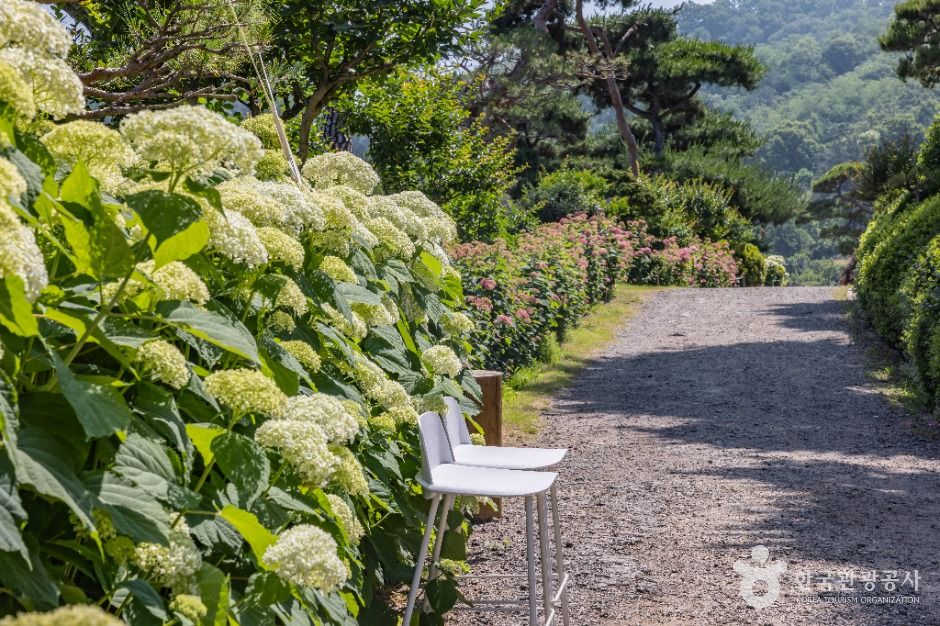 thumbnail-베이커리 카페 공간-8